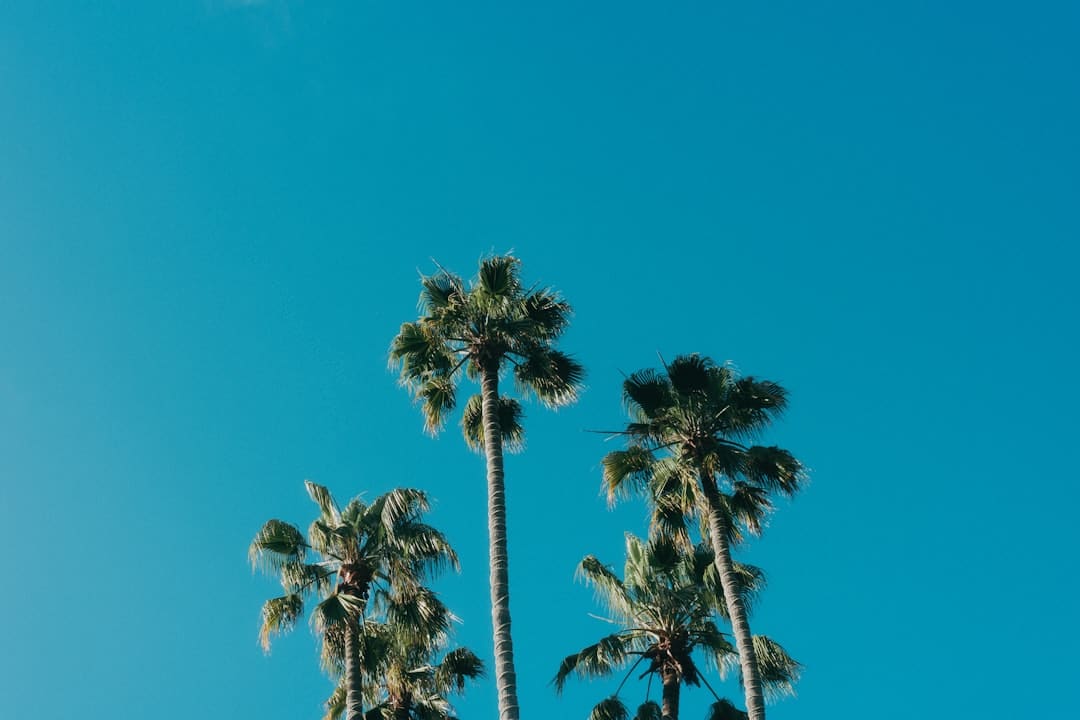 在鲤城发动!这场阛阓太热烈!